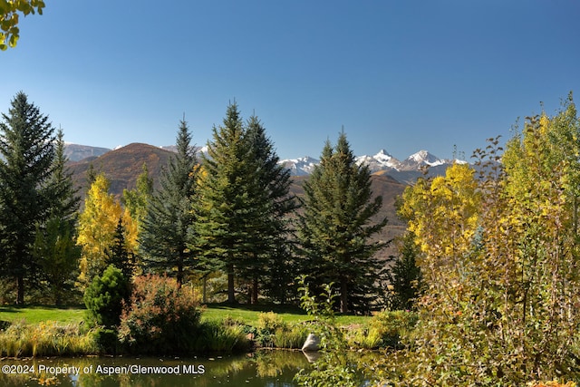120 Running Mare Rd, Woody Creek, CO 81656 - view of mountain background