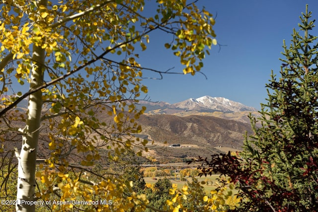 120 Running Mare Rd, Woody Creek, CO 81656 - view of mountain backdrop