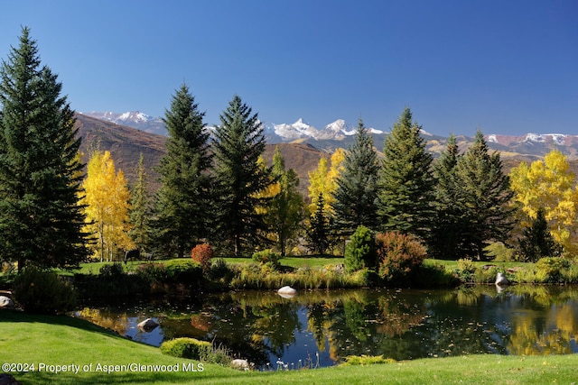 120 Running Mare Rd, Woody Creek, CO 81656 - mountain view