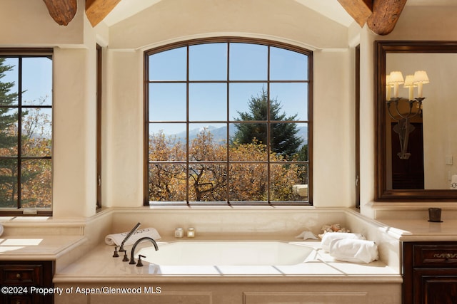 120 Running Mare Rd, Woody Creek, CO 81656 - bathroom featuring a bath and vanity