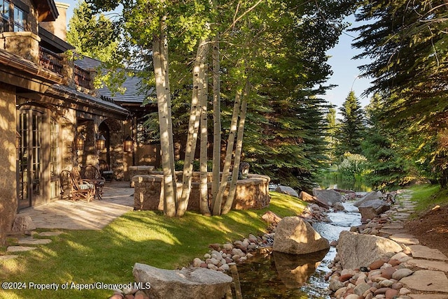 120 Running Mare Rd, Woody Creek, CO 81656 - view of yard featuring a patio area