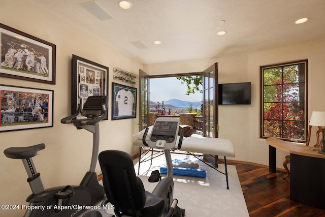 120 Running Mare Rd, Woody Creek, CO 81656 - exercise area with dark wood-type flooring and recessed lighting