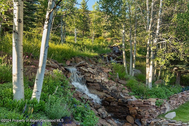 120 Running Mare Rd, Woody Creek, CO 81656 - view of local wilderness