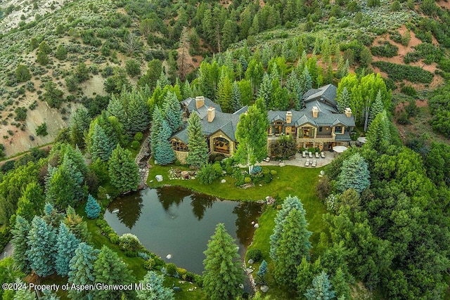 120 Running Mare Rd, Woody Creek, CO 81656 - aerial overview of property's location featuring a large body of water and a forest