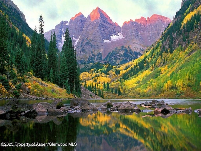 197 Prospector Rd Unit 2302-11, Aspen, CO 81611 - view of mountain background featuring a forest and a nearby body of water