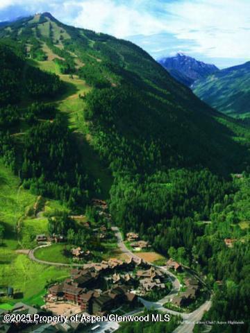 197 Prospector Rd Unit 2302-11, Aspen, CO 81611 - view of mountain backdrop featuring a forest