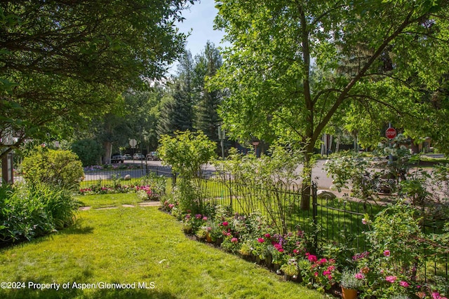 500 W Francis St, Aspen, CO 81611 - view of yard with fence