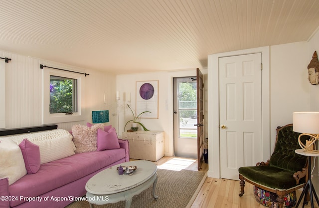 500 W Francis St, Aspen, CO 81611 - living area with wooden ceiling and light wood-style flooring
