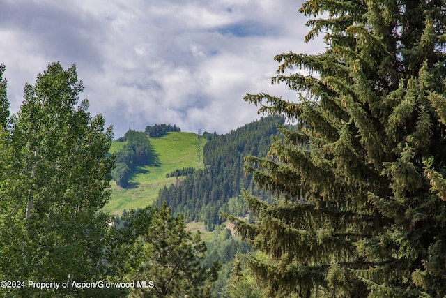 500 W Francis St, Aspen, CO 81611 - exterior space featuring a forest view