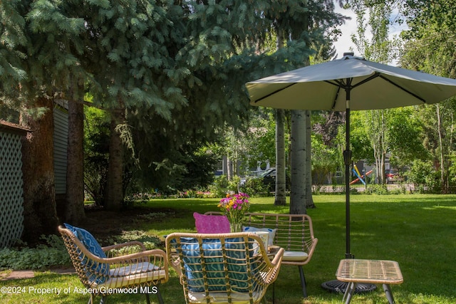500 W Francis St, Aspen, CO 81611 - view of community with a yard