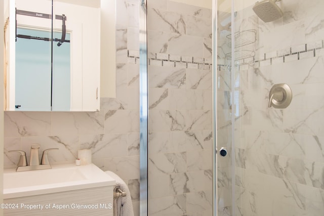 500 W Francis St, Aspen, CO 81611 - bathroom featuring vanity and a stall shower