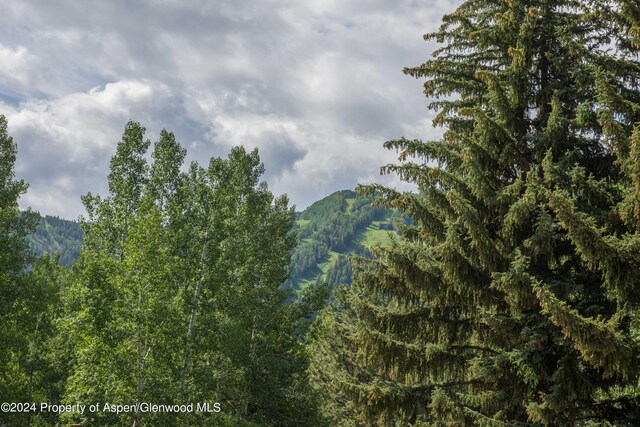 500 W Francis St, Aspen, CO 81611 - mountain view with a view of trees