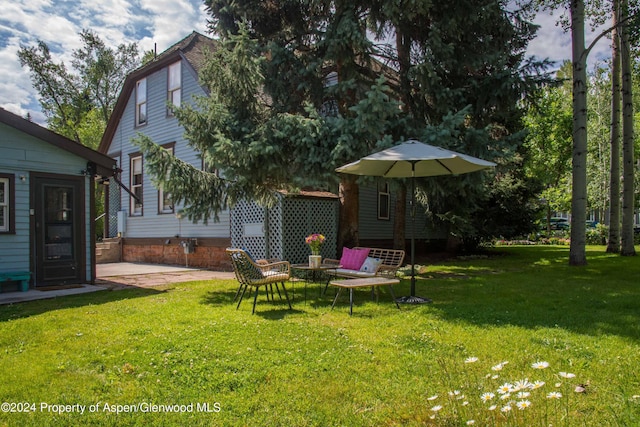 500 W Francis St, Aspen, CO 81611 - view of yard