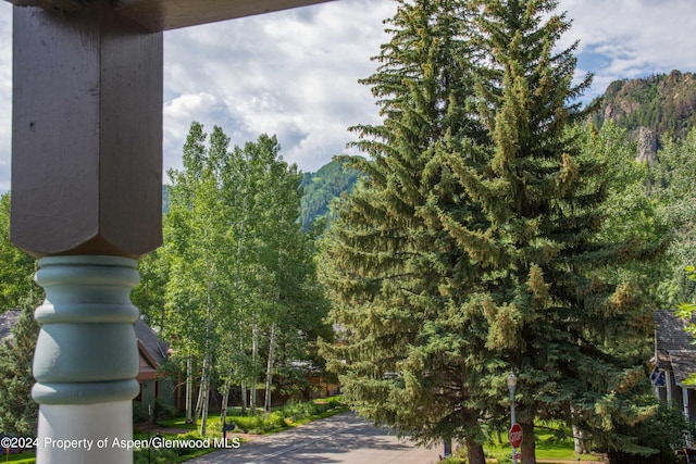 500 W Francis St, Aspen, CO 81611 - exterior space with a view of trees