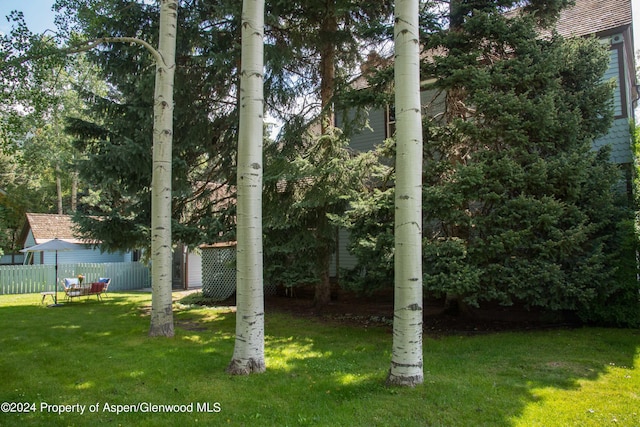 500 W Francis St, Aspen, CO 81611 - view of yard featuring fence