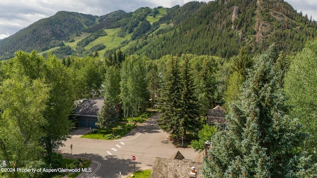 500 W Francis St, Aspen, CO 81611 - view of mountain feature with a wooded view