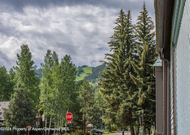 500 W Francis St, Aspen, CO 81611 - view of mountain feature