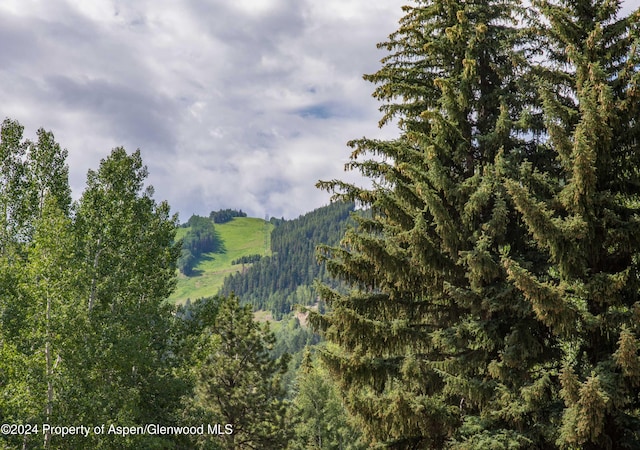 500 W Francis St, Aspen, CO 81611 - property view of mountains with a forest view