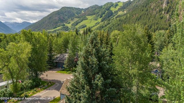 500 W Francis St, Aspen, CO 81611 - property view of mountains featuring a view of trees
