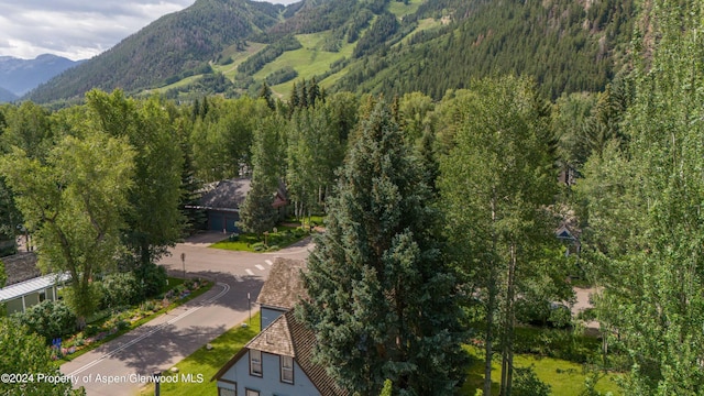 500 W Francis St, Aspen, CO 81611 - view of mountain feature with a forest view