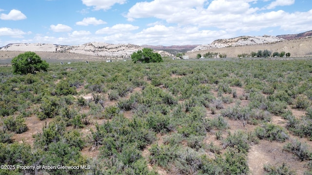 TBD Highway 40, Dinosaur, CO 81610