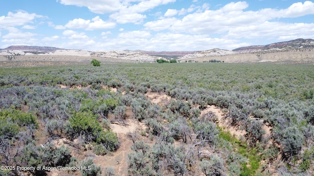 TBD Highway 40, Dinosaur, CO 81610