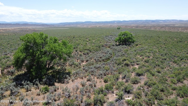 TBD Highway 40, Dinosaur, CO 81610