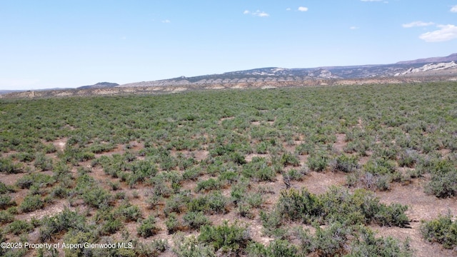 TBD Highway 40, Dinosaur, CO 81610