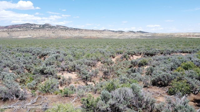 TBD Highway 40, Dinosaur, CO 81610