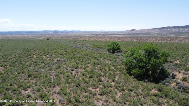 TBD Highway 40, Dinosaur, CO 81610