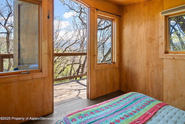 1952 Medicine Bow Rd, Aspen, CO 81611 - photo 34