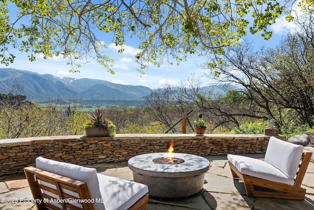 1952 Medicine Bow Rd, Aspen, CO 81611 - photo 6