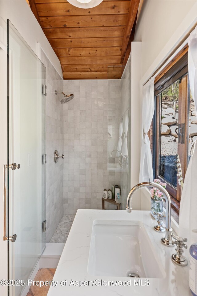 1952 Medicine Bow Rd, Aspen, CO 81611 - photo 31