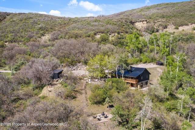 1952 Medicine Bow Rd, Aspen, CO 81611 - photo 35