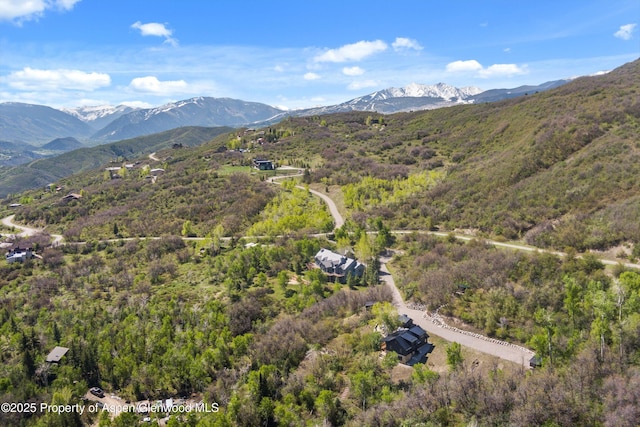 1952 Medicine Bow Rd, Aspen, CO 81611 - photo 8