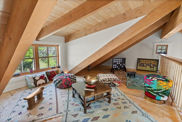 1952 Medicine Bow Rd, Aspen, CO 81611 - photo 20