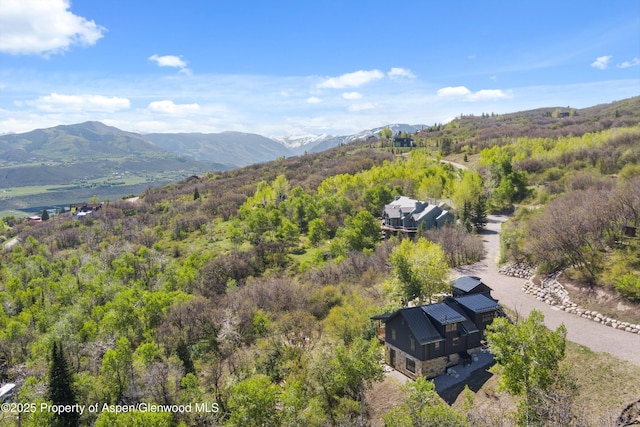 1952 Medicine Bow Rd, Aspen, CO 81611 - photo 36