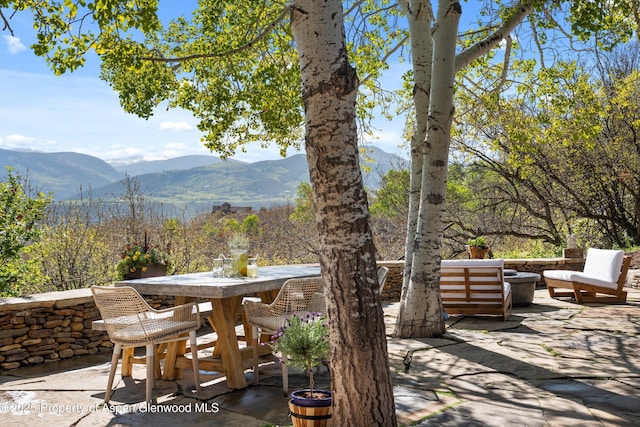 1952 Medicine Bow Rd, Aspen, CO 81611 - photo 3