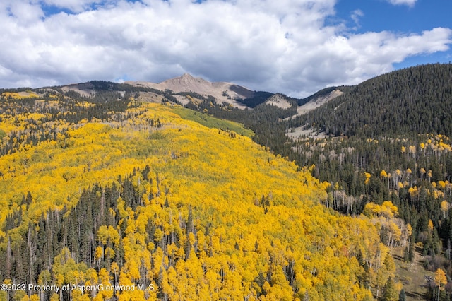 view of mountain feature