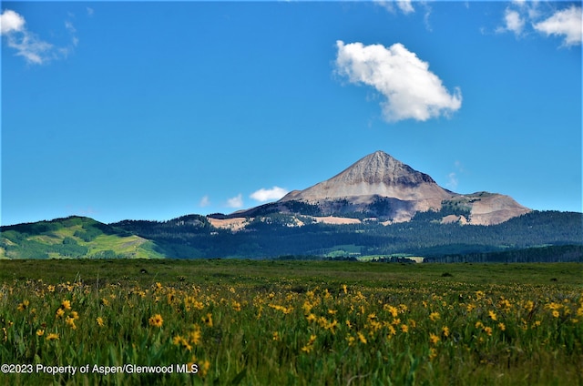 mountain view