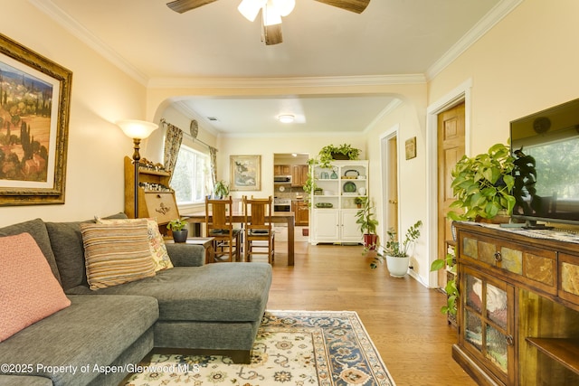 312 N Midland Ave, New Castle, CO 81647 - photo 4