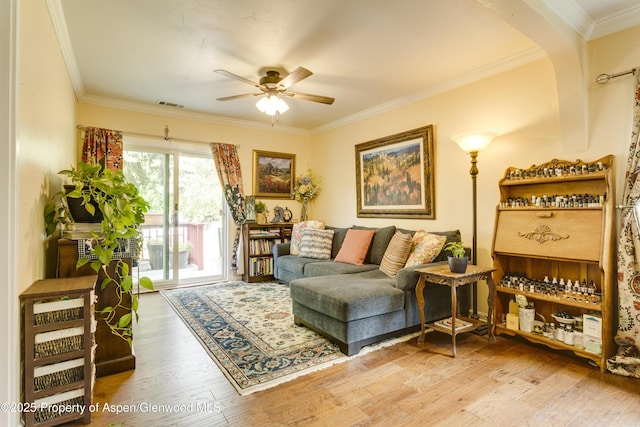 312 N Midland Ave, New Castle, CO 81647 - photo 5