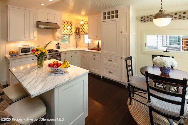 222 W Hopkins Ave Unit 5, Aspen, CO 81611 - kitchen featuring under cabinet range hood, white microwave, hanging light fixtures, dark wood-style flooring, and a breakfast bar