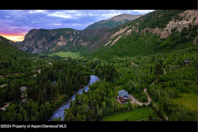 900 Dorais Way, Redstone, CO 81623 - mountain view featuring a forest