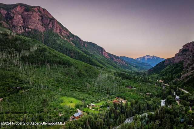 900 Dorais Way, Redstone, CO 81623 - mountain view with a forest