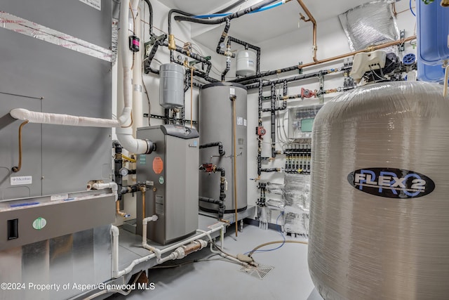 900 Dorais Way, Redstone, CO 81623 - utility room with gas water heater