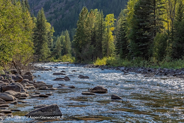 900 Dorais Way, Redstone, CO 81623 - water view featuring a forest