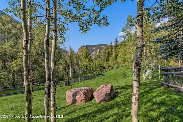 900 Dorais Way, Redstone, CO 81623 - view of yard featuring a view of trees and a mountain view