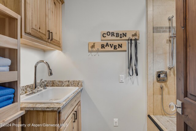 900 Dorais Way, Redstone, CO 81623 - washroom featuring a sink