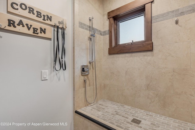 900 Dorais Way, Redstone, CO 81623 - bathroom with tiled shower